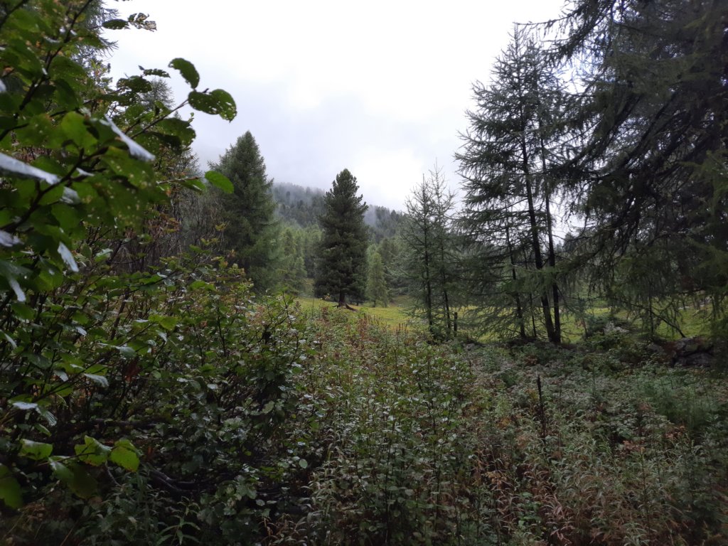 _114531.jpg