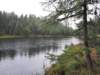 _115254_small.jpg