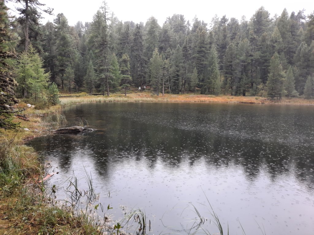 _115300.jpg