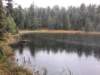 _115300_small.jpg