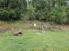 _115302_small.jpg