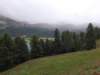 _115341_small.jpg