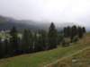 _115401_small.jpg