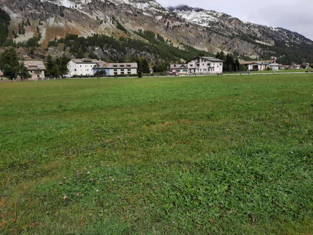 _115407.jpg