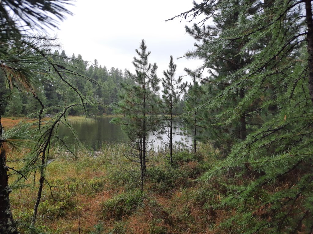 _115452.jpg