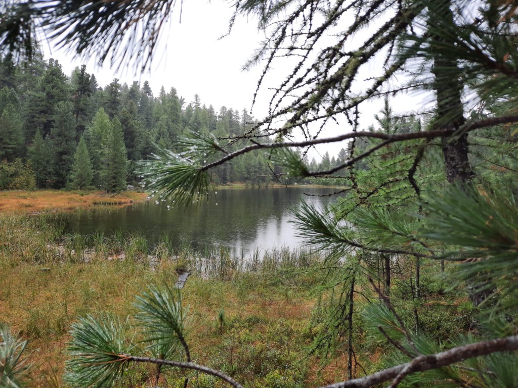 _115510.jpg