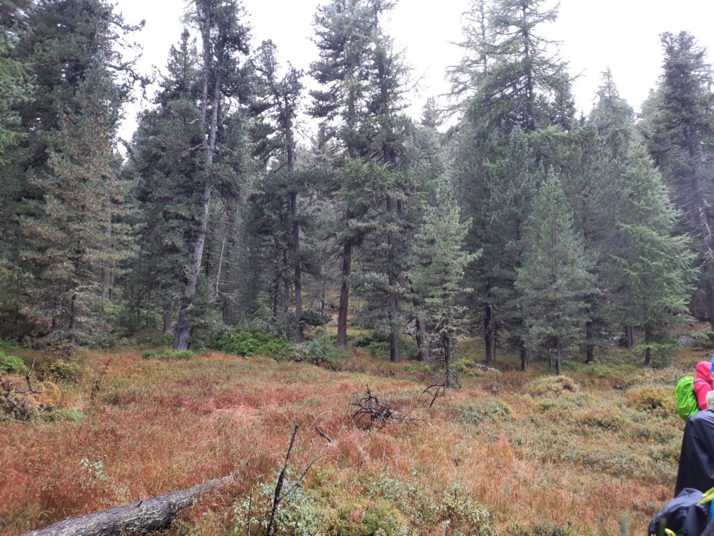_115523.jpg