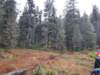 _115523_small.jpg