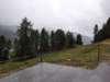 _115543_small.jpg
