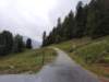 _1155512_small.jpg