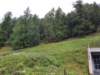 _115558_small.jpg