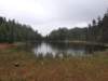 _115601_small.jpg