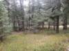 _121210_small.jpg