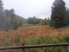 _121355_small.jpg