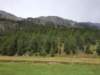 _1223092_small.jpg