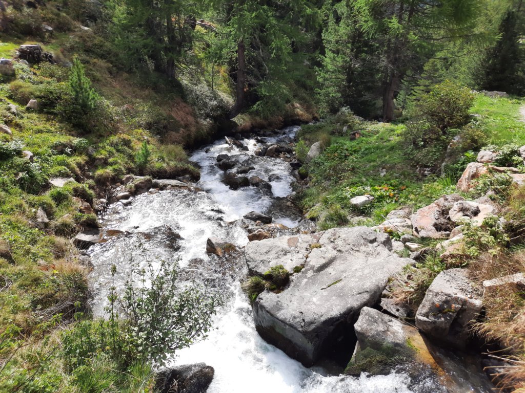 _122815.jpg