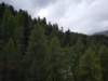 _123133_small.jpg