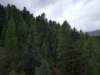 _123144_small.jpg