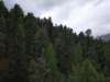 _123149_small.jpg