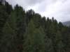 _123157_small.jpg