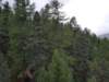 _123205_small.jpg