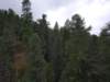 _123208_small.jpg