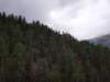 _123224_small.jpg