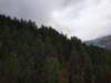 _123228_small.jpg