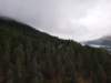 _123251_small.jpg