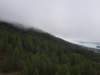 _123339_small.jpg