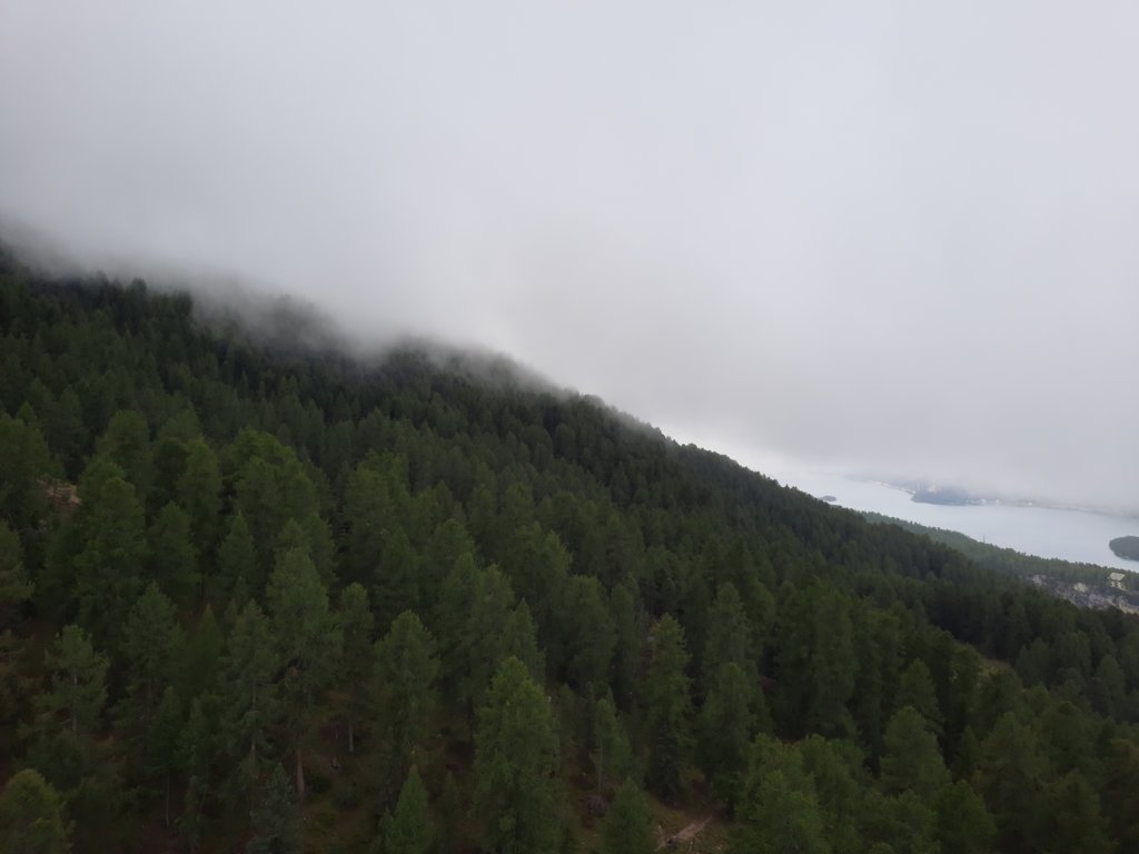 _123346.jpg