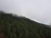 _123352_small.jpg