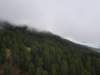 _123354_small.jpg