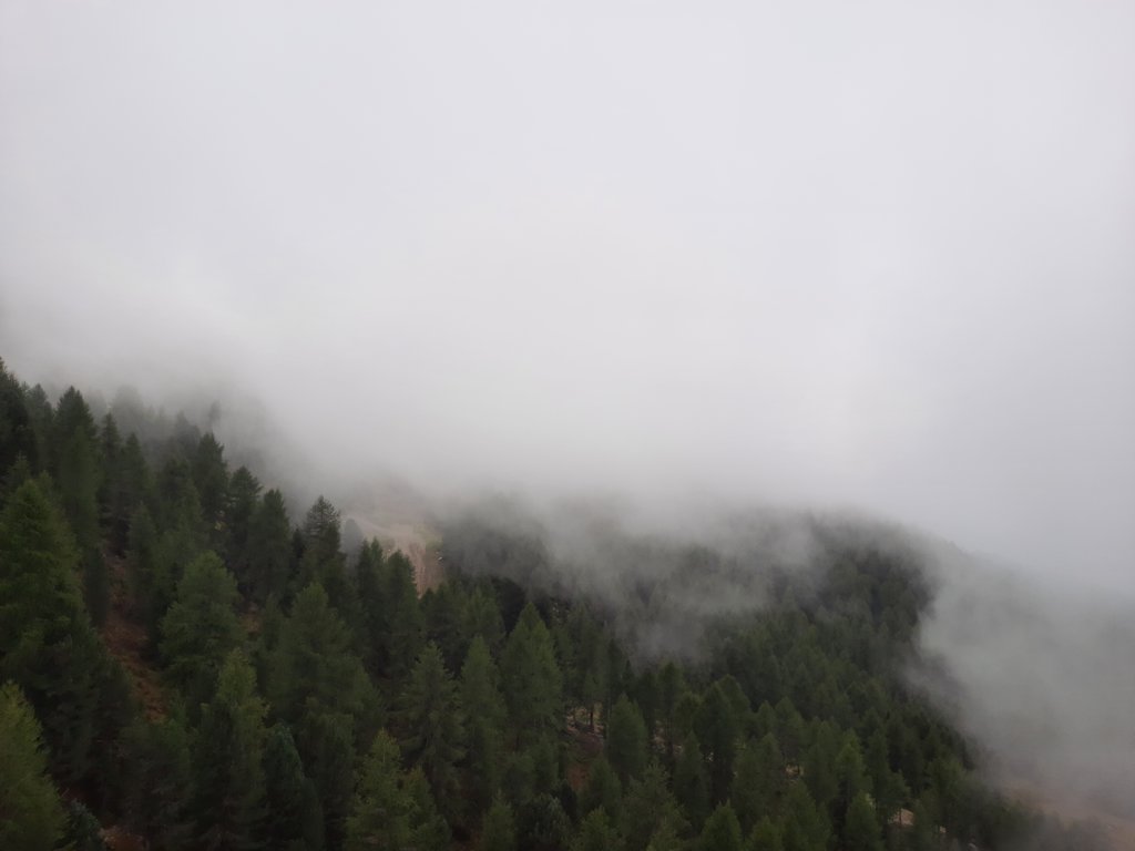 _123433.jpg