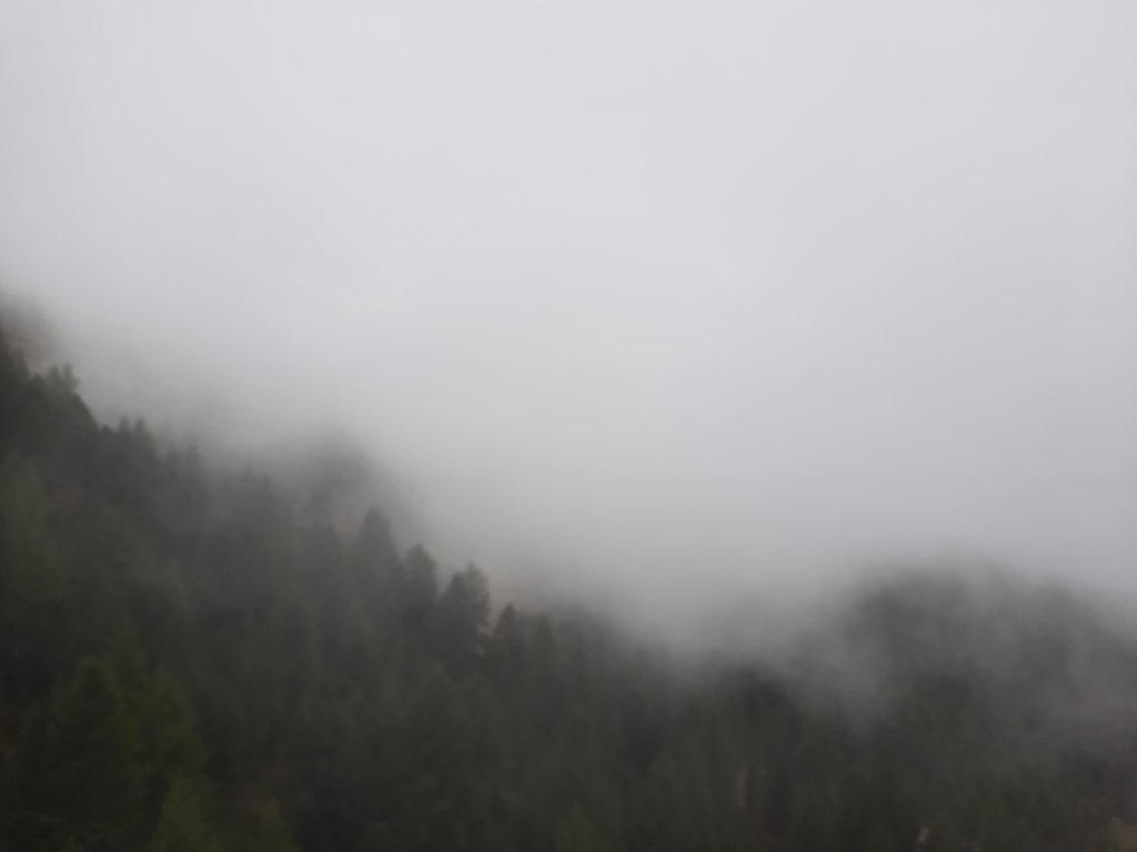 _123439.jpg