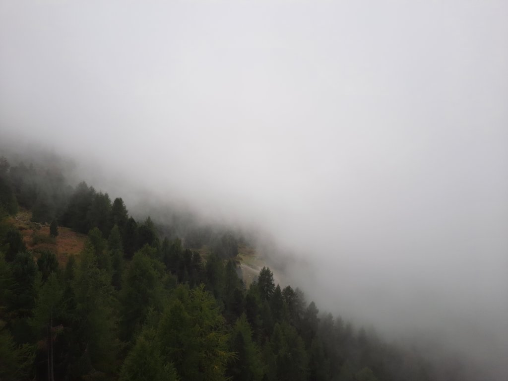 _123446.jpg