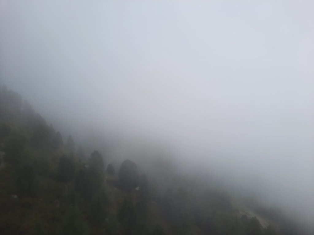 _123509.jpg