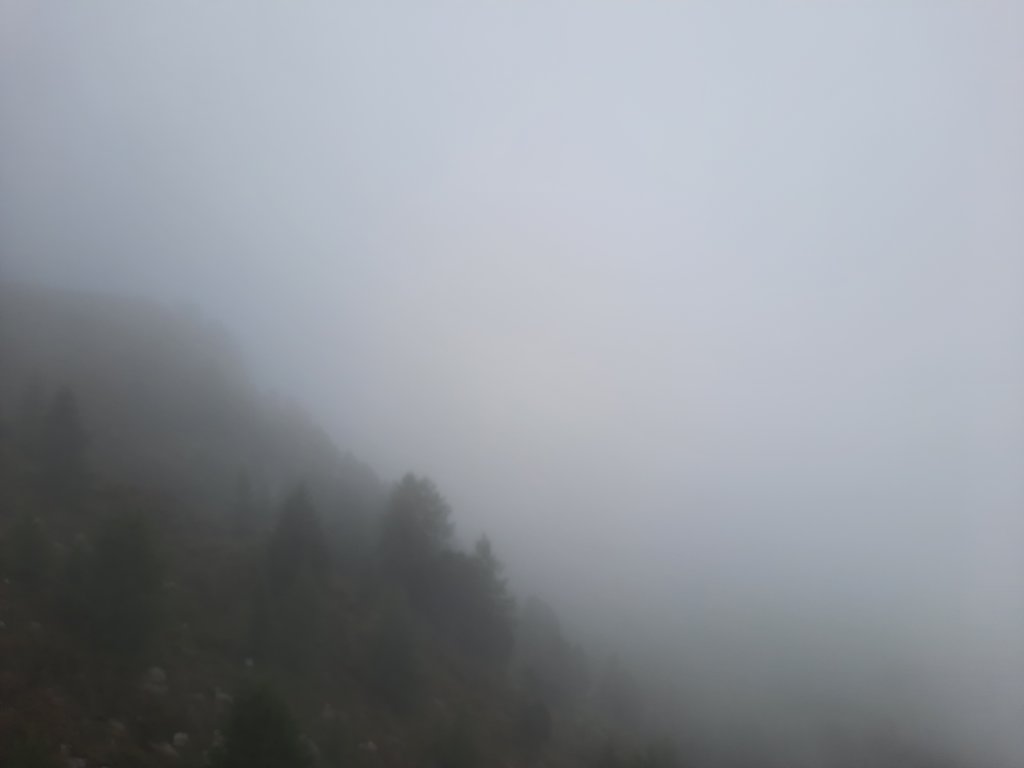 _123527.jpg