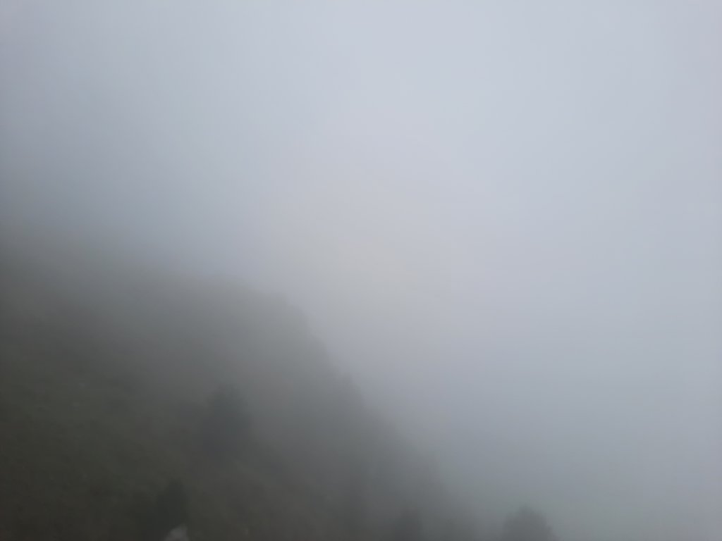 _123536.jpg