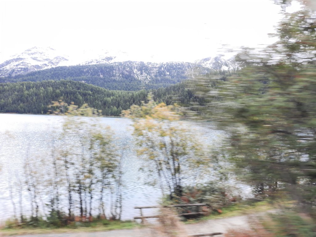 _123558.jpg