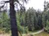 _124003_small.jpg