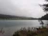 _124131_small.jpg