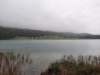 _124137_small.jpg