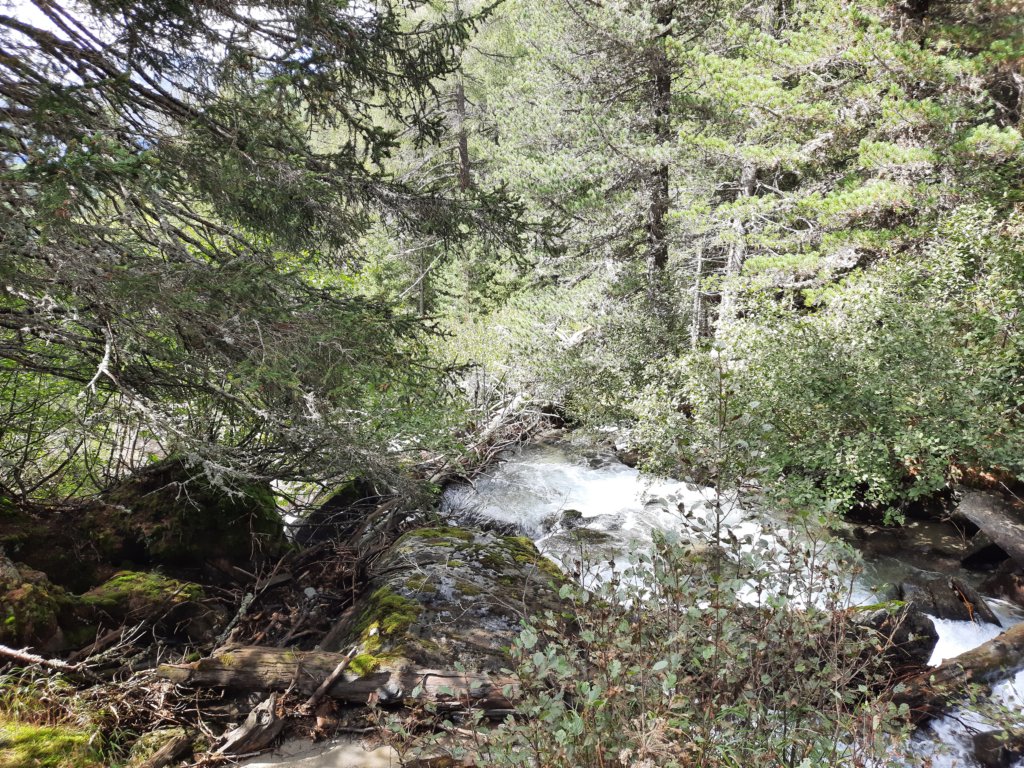_135746.jpg