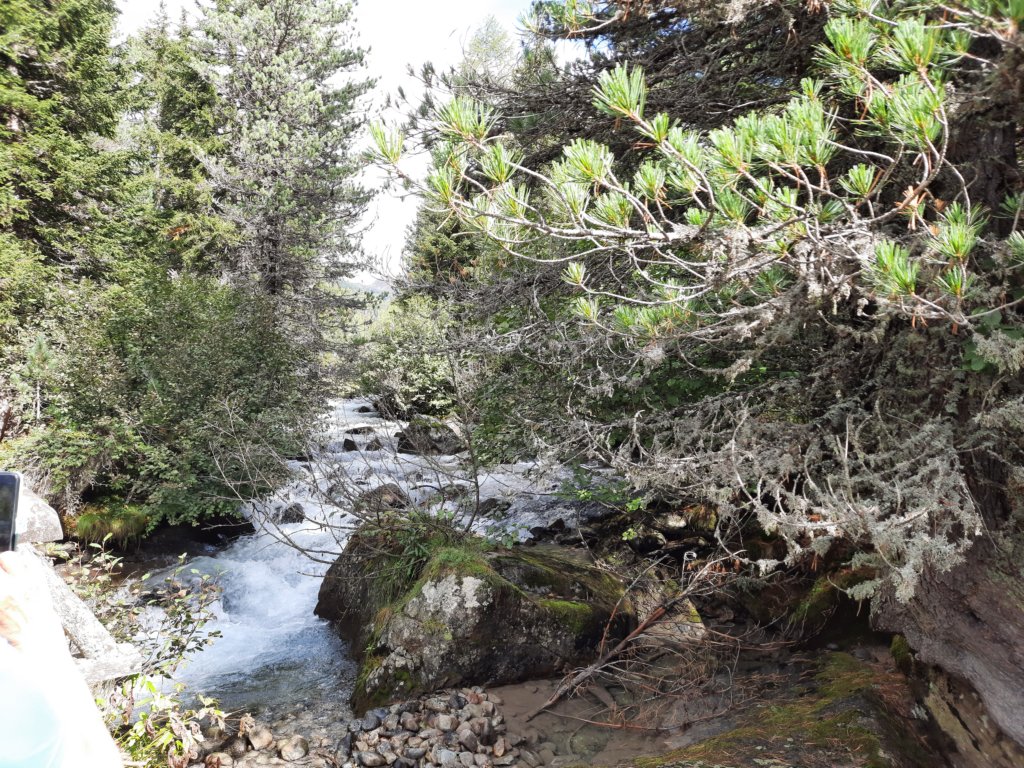 _135835.jpg