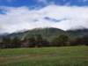 _140647_small.jpg