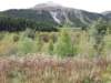 _140926_small.jpg