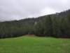 _141056_small.jpg
