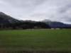 _153033_small.jpg