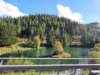 _164501_small.jpg